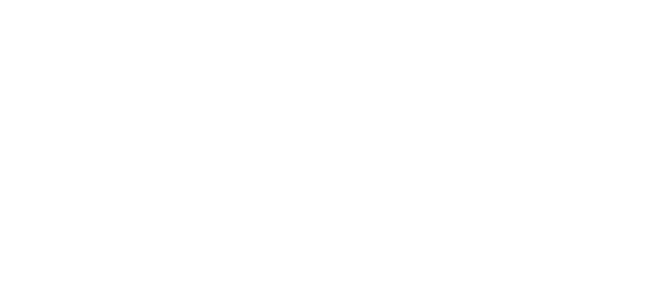 light logo