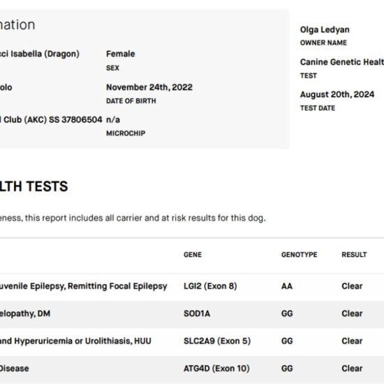 embarg test